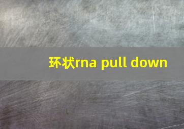 环状rna pull down